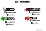 Les animaux:  la ferme, les insectes, la nature, la mer.